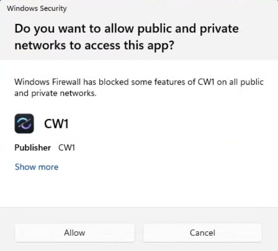 Windows
                Firewall prompt asking to allow the app to access public and
                private networks — click Allow